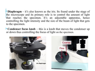 Diaphragm – it’s also known as the iris. Its found under the stage of
the microscope and its primary role is to control the amount of light
that reaches the specimen. It’s an adjustable apparatus, hence
controlling the light intensity and the size of the beam of light that gets
to the specimen.
Condenser focus knob – this is a knob that moves the condenser up
or down thus controlling the focus of light on the specimen.
 