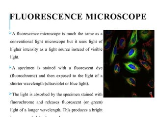 FLUORESCENCE MICROSCOPE
A fluorescence microscope is much the same as a
conventional light microscope but it uses light of
higher intensity as a light source instead of visible
light.
A specimen is stained with a fluorescent dye
(fluorochrome) and then exposed to the light of a
shorter wavelength (ultraviolet or blue light).
The light is absorbed by the specimen stained with
fluorochrome and releases fluorescent (or green)
light of a longer wavelength. This produces a bright
 