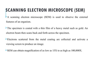SCANNING ELECTRON MICROSCOPE (SEM)
A scanning electron microscope (SEM) is used to observe the external
features of an organism.
The specimen is coated with a thin film of a heavy metal such as gold. An
electron beam then scans back and forth across the specimen.
Electrons scattered from the metal coating are collected and activate a
viewing screen to produce an image.
SEM can obtain magnification of as low as 15X to as high as 100,000X.
 