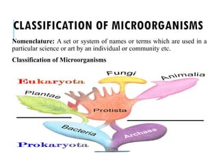 CLASSIFICATION OF MICROORGANISMS
Nomenclature: A set or system of names or terms which are used in a
particular science or art by an individual or community etc.
Classification of Microorganisms
 