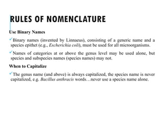 RULES OF NOMENCLATURE
Use Binary Names
Binary names (invented by Linnaeus), consisting of a generic name and a
species epithet (e.g., Escherichia coli), must be used for all microorganisms.
Names of categories at or above the genus level may be used alone, but
species and subspecies names (species names) may not.
When to Capitalize
The genus name (and above) is always capitalized, the species name is never
capitalized, e.g. Bacillus anthracis words…never use a species name alone.
 