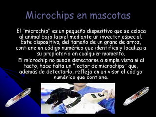Microchips en mascotas El "microchip" es un pequeño dispositivo que se coloca al animal bajo la piel mediante un inyector especial. Este dispositivo, del tamaño de un grano de arroz, contiene un código numérico que identifica y localiza a su propietario en cualquier momento. El microchip no puede detectarse a simple vista ni al tacto, hace falta un "lector de microchips" que, además de detectarlo, refleja en un visor el código numérico que contiene. 