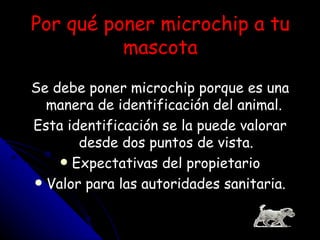 Por qué poner microchip a tu mascota Se debe poner microchip porque es una manera de identificación del animal.  Esta identificación se la puede valorar desde dos puntos de vista. Expectativas del propietario Valor para las autoridades sanitaria. 