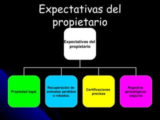 Expectativas del propietario Expectativas del  propietario Propiedad legal. Recuperación de  animales perdidos o robados. Certificaciones  precisas Registros  genealógicos  seguros 
