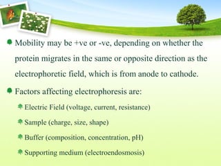 Mobility may be +ve or -ve, depending on whether the
protein migrates in the same or opposite direction as the
electrophoretic field, which is from anode to cathode.
Factors affecting electrophoresis are:
Electric Field (voltage, current, resistance)
Sample (charge, size, shape)
Buffer (composition, concentration, pH)
Supporting medium (electroendosmosis)
 