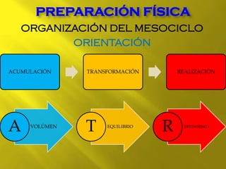 ORGANIZACIÓN DEL MESOCICLO
ORIENTACIÓN
PREPARACIÓN FÍSICA
ACUMULACIÓN TRANSFORMACIÓN REALIZACIÓN
VOLÚMEN
A EQUILIBRIO
T INTENSIDAD
R
 