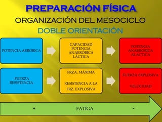ORGANIZACIÓN DEL MESOCICLO
DOBLE ORIENTACIÓN
PREPARACIÓN FÍSICA
POTENCIA AERÓBICA
CAPACIDAD
POTENCIA
ANAERÓBICA
LÁCTICA
POTENCIA
ANAERÓBICA
ALACTICA
FUERZA
RESISTENCIA
FRZA. MÁXIMA
RESISTENCIA A LA
FRZ. EXPLOSIVA
FUERZA EXPLOSIVA
VELOCIDAD
-FATIGA+
 