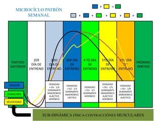 +

MICROCÍCLO PATRÓN
SEMANAL

PARTIDO
ANTERIOR

TENSIÓN
DURACIÓN

1ER
DÍA DE
ENTRENO

+

2DO
DÍA DE
ENTRENO

3ER DÍA
DE
ENTRENO

DENSIDAD
+ OU- 1/6
DOMINANTE
ANAEROBICO
ALÁCTICO
AERÓBICO

DENSIDAD
+ OU- 1/3
DOMINANTE
ANAERÓBICO
LÁCTICO

+

=
+

+

=

4 TO DÍA
DE
ENTRENO

5TO DÍA
DE
ENTRENO

6TO DÍA
DE
ENTRENO

DENSIDAD
+ OU- 3/1
DOMINANTE
AERÓBICO

DENSIDAD
+ OU- 1/5
DOMINANTE
ANAERÓBICO
ALÁCTICO
AERÓBICO

DENSIDAD
+ OU- 1/8
DOMINANTE
ANÁEROBICO
ALÁCTICO

PRÓXIMO
PARTIDO

VELOCIDAD

SUB-DINÁMICA FÍSICA-CONTRACCIÓNES MUSCULARES

 