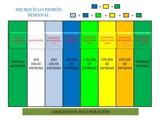 MICROCÍCLO PATRÓN
SEMANAL

FATÍGA
FATÍGA
ACUMULADA
ACUMULADA
1,30 H
1,30 HS

PARTIDO
ANTERIOR

+
+

+

=
+

+

=

RECUPERACIÓN

DOMINANTE
DOMINANTE
RECUPERACIÓN
RECUPERACIÓN
1H

DOMINANTE
ADQUISICIÓN
1,45 H

DOMINANTE
ADQUISICIÓN
1,30 H

DOMINANTE
ADQUISICIÓN
1,30 H

DOMINANTE
RECUPERACIÓN
1H

SEMI FATÍGA
ACUMULADA
1,30 H

1ER
DÍA DE
ENTRENO

2DO
DÍA DE
ENTRENO

3ER DÍA
DE
ENTRENO

4 TO DÍA
DE
ENTRENO

5TO DÍA
DE
ENTRENO

6TO DÍA
DE
ENTRENO

PRÓXIMO
PARTIDO

ADQUISICIÓN RECUPERACIÓN
PERIODIZACIÓN

 