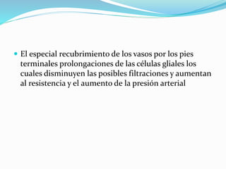  El especial recubrimiento de los vasos por los pies
terminales prolongaciones de las células gliales los
cuales disminuyen las posibles filtraciones y aumentan
al resistencia y el aumento de la presión arterial
 