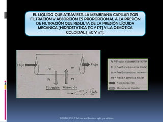 EL LIQUIDO QUE ATRAVIESA LA MEMBRANA CAPILAR POR
FILTRACIÓN Y ABSORCIÓN ES PROPORCIONAL A LA PRESIÓN
   DE FILTRACIÓN QUE RESULTA DE LA PRESIÓN LÍQUIDA
    MECANICA [HIDROSTATICA PC Y PT] Y LA OSMÓTICA
                 COLOIDAL [ πC Y πT].




             DENTAL PULP Seltzer and Benders 1984 3ra edition.
 
