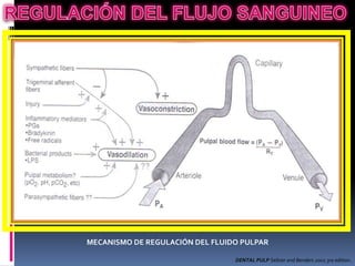 MECANISMO DE REGULACIÓN DEL FLUIDO PULPAR

                                 DENTAL PULP Seltzer and Benders 2002 3ra edition.
 