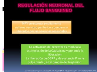 NPY se expresa ampliamente
sistema nervioso periférico y pueden ser
 liberados por las neuronas sensoriales



          La activación del receptor Y1 modula la
        estimulación de la Capsaicina y por ende la
                          liberación
        La liberación de CGRP y de sustancia P en la
         pulpa dental, en el ganglio del trigémino.

       J.L. Gibbs and K.M. Hargreaves. Neuropeptide Y Y1 Receptor Effects on Pulpal Nociceptors J Dent Res 87(10):948-952, 2008
 