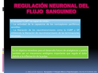 El receptorY1 NPY es capaz de inhibir :
 - La actividad de la capsaicina de los nociceptores periféricos
sensibles.
 - La liberación de los neurotransmisores como la CGRP y SP
inhibiendo la liberación de neurotransmisores de las terminaciones
nerviosas.




 Es un objetivo novedoso para el desarrollo futuro de analgésicos y podría
 también ser un mecanismo endógeno importante que regula el dolor
 debido a la inflamación de la pulpa.




              J.L. Gibbs and K.M. Hargreaves. Neuropeptide Y Y1 Receptor Effects on Pulpal Nociceptors J Dent Res 87(10):948-952, 2008
 