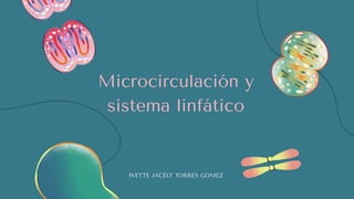 Microcirculación y
sistema linfático
IVETTE JACELT TORRES GOMEZ
 