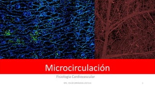 Microcirculación
Fisiología Cardiovascular
MSC, OSCAR ARRIAGADA CASTILLO 1
 
