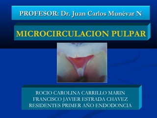PROFESOR: Dr. Juan Carlos Munévar N

MICROCIRCULACION PULPAR




    ROCIO CAROLINA CARRILLO MARIN
   FRANCISCO JAVIER ESTRADA CHAVEZ
  RESIDENTES PRIMER AÑO ENDODONCIA
 