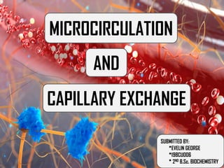 MICROCIRCULATION
AND
CAPILLARY EXCHANGE
SUBMITTED BY:
*EVELIN GEORGE
*19BCU006
* 2ND B.Sc. BIOCHEMISTRY
SUBMITTED BY:
*EVELIN GEORGE
*19BCU006
* 2ND B.Sc. BIOCHEMISTRY
 