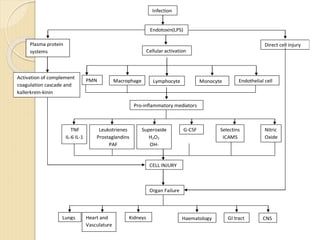 Infection
Endotoxin(LPS)
Plasma protein
systems
Activation of complement
coagulation cascade and
kallerkrein-kinin
Direct cell injury
CELL INJURY
Organ Failure
Lungs Heart and
Vasculature
Kidneys Haematology GI tract CNS
Cellular activation
PMN Macrophage Lymphocyte Monocyte Endothelial cell
Pro-inflammatory mediators
TNF
IL-6 IL-1
Leukotrienes
Prostaglandins
PAF
Superoxide
H2O2
OH-
G-CSF Selectins
ICAMS
Nitric
Oxide
 