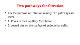 Two pathways for filtration
• For the purpose of filtration mainly two pathways are
there-
• 1. Pores in the Capillary Membrane
• 2. coated pits on the surface of endothelial cells.
 