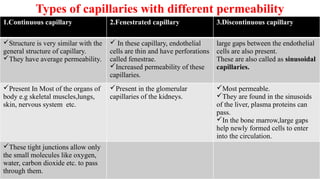 Types of capillaries with different permeability
1.Continuous capillary 2.Fenestrated capillary 3.Discontinuous capillary
Structure is very similar with the
general structure of capillary.
They have average permeability.
 In these capillary, endothelial
cells are thin and have perforations
called fenestrae.
Increased permeability of these
capillaries.
large gaps between the endothelial
cells are also present.
These are also called as sinusoidal
capillaries.
Present In Most of the organs of
body e.g skeletal muscles,lungs,
skin, nervous system etc.
Present in the glomerular
capillaries of the kidneys.
Most permeable.
They are found in the sinusoids
of the liver, plasma proteins can
pass.
In the bone marrow,large gaps
help newly formed cells to enter
into the circulation.
These tight junctions allow only
the small molecules like oxygen,
water, carbon dioxide etc. to pass
through them.
 