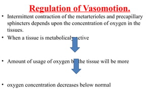 Regulation of Vasomotion.
• Intermittent contraction of the metarterioles and precapillary
sphincters depends upon the concentration of oxygen in the
tissues.
• When a tissue is metabolicaly active
• Amount of usage of oxygen by the tissue will be more
• oxygen concentration decreases below normal
 