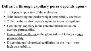Diffusion through capillary pores depends upon -
• 1. Depends upon size of the molecules.
• With increasing molecular weight permeability decreases.
• 2. Permeability also depends upon the types of capillary.
• Continuous capillary in the cerebral microcirculation -
average permeability.
• Fenestrated capillaries in the glomerulus of kidneys – high
permeability.
• Discontinuous/ sinusoidal capillaries in the liver – very
high permeability.
 