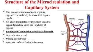 Structure of the Microcirculation and
Capillary System
 The microcirculation of each organ is
organized specifically to serve that organ’s
needs.
 So, exact morphology varies from organ to
organ depending upon the functions of
organs.
 Structure of an ideal microcirculation unit,
 Arteriole at one end
 Venule at other end
 A network of capillaries in between.
 