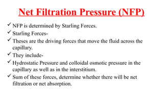 Net Filtration Pressure (NFP)
 NFP is determined by Starling Forces.
 Starling Forces-
 Theses are the driving forces that move the fluid across the
capillary.
 They include-
 Hydrostatic Pressure and colloidal osmotic pressure in the
capillary as well as in the interstitium.
 Sum of these forces, determine whether there will be net
filtration or net absorption.
 