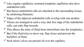  Like regular capillaries, terminal lymphatic capillaries also have
endothelial cells.
 But theses endothelial cells are attached to the surrounding tissues
by anchoring filaments.
 Edges of the adjacent endothelial cells overlap with one another.
 Theses are arranged in such a way, that free edge of the endothelial
cells, can only flap inwards.
 This allows the entry of fluid from interstitium into the lymphatics.
 But if the fluid tries to move out, flap closes and prevent the
backflow of fluid.
 Such micro valves are present all over the capillary.
 