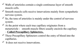 Walls of arterioles contain a single continuous layer of smooth
muscle cells.
 Smooth muscle cells receive innervations mainly from sympathetic
nervous system.
 So, the tone of arterioles is mainly under the control of nervous
system .
 At the point where each true capillary originates from a
metarteriole - smooth muscle fibers usually encircle the capillary
– Called Precapillary Sphinctres.
 These Precapillary Sphincters control the entry of blood into the
capillaries.
 It does not receive innervations.
 