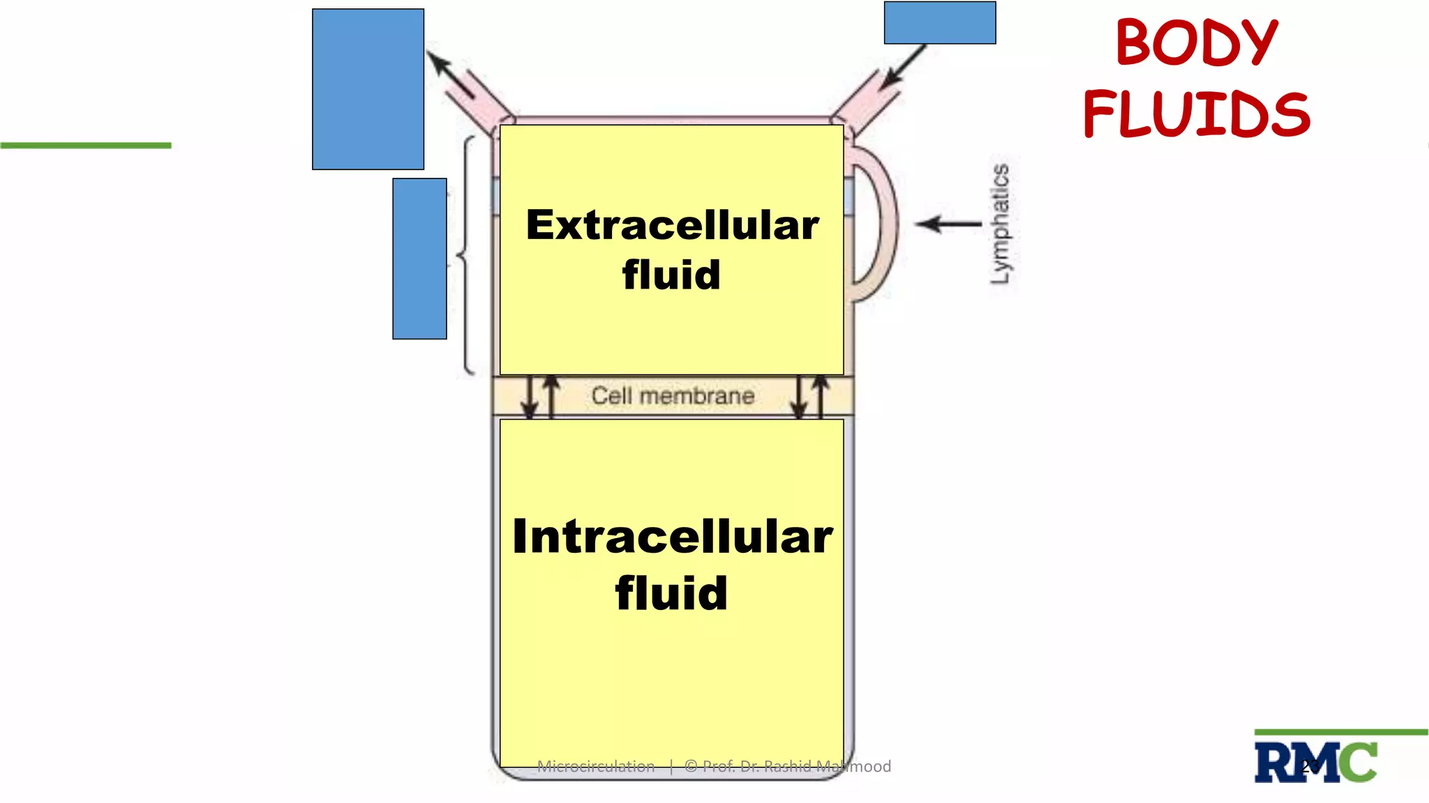 23
20%
40 %
BODY
FLUIDS
Intracellular
fluid
Interstitial
Fluid
Plasma
Microcirculation | © Prof. Dr. Rashid Mahmood
Extracellular
fluid
 