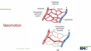 Vasomotion
Microcirculation | © Prof. Dr. Rashid Mahmood 15
 
