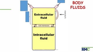 23
20%
40 %
BODY
FLUIDS
Intracellular
fluid
Interstitial
Fluid
Plasma
Microcirculation | © Prof. Dr. Rashid Mahmood
Extracellular
fluid
 