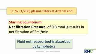 Microcirculation | © Prof. Dr. Rashid Mahmood 33
0.5% (1/200) plasma filters at Arterial end
Starling Equilibrium:
Net filtration Pressure of 0.3 mmHg results in
net filtration of 2ml/min
Fluid not reabsorbed is absorbed
by Lymphatics
 