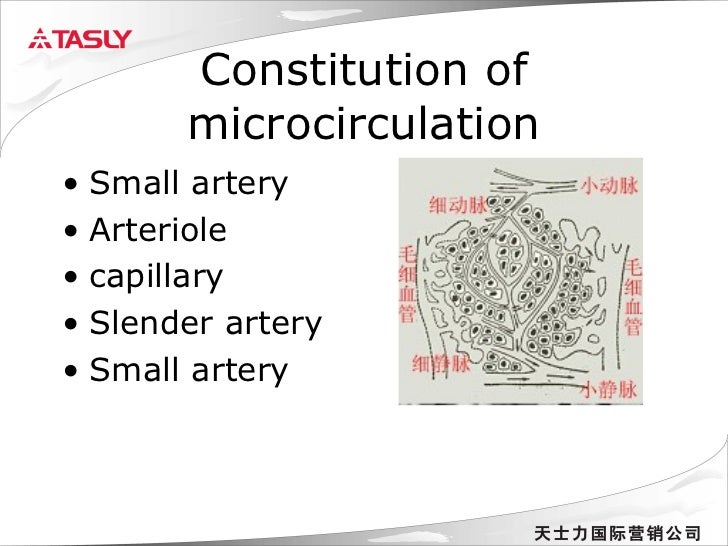 Microcirculation
