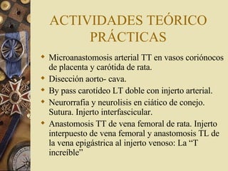 ACTIVIDADES TEÓRICO PRÁCTICAS Microanastomosis arterial TT en vasos coriónocos de placenta y carótida de rata. Disección aorto- cava. By pass carotídeo LT doble con injerto arterial. Neurorrafia y neurolisis en ciático de conejo. Sutura. Injerto interfascicular. Anastomosis TT de vena femoral de rata. Injerto interpuesto de vena femoral y anastomosis TL de la vena epigástrica al injerto venoso: La “T increíble” 