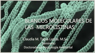 BLANCOS MOLECULARES DE
LAS MICROCISTINAS
Claudia M. Tapia Larios. M.Sc.
Seminario
Doctorado en Toxicología Ambiental
 