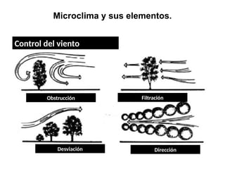 Microclima y sus elementos.
Control del viento
Obstrucción Filtración
Desviación Dirección
 