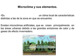 Microclima y sus elementos.
•Es un clima local de características
distintas a las de la zona en que se encuentra.
Existen microclimas artificiales, que se crean principalmente en
las áreas urbanas debido a las grandes emisiones de calor y de
gases de efecto invernadero.
 