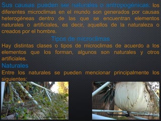 Sus causas pueden ser naturales o antropogénicas: los
diferentes microclimas en el mundo son generados por causas
heterogéneas dentro de las que se encuentran elementos
naturales o artificiales, es decir, aquellos de la naturaleza o
creados por el hombre.
Tipos de microclimas
Hay distintas clases o tipos de microclimas de acuerdo a los
elementos que los forman, algunos son naturales y otros
artificiales.
Naturales
Entre los naturales se pueden mencionar principalmente los
siguientes:
 