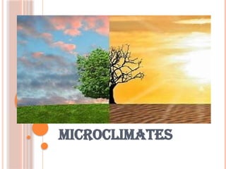microclimates.pptxmicroclimates.pptxxxxx | PPTX