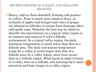 Cold Microclimate microclimates.pptxmicroclimates.pptxxxxx | PPT