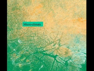 Micro-climats Micro-climats 