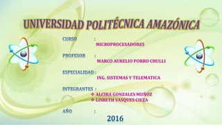 MICROPROCESADORES
MARCO AURELIO PORRO CHULLI
ING. SISTEMAS Y TELEMATICA
 ALCIRA GONZALES MUÑOZ
 LISBETH VASQUES CIEZA
2016
 