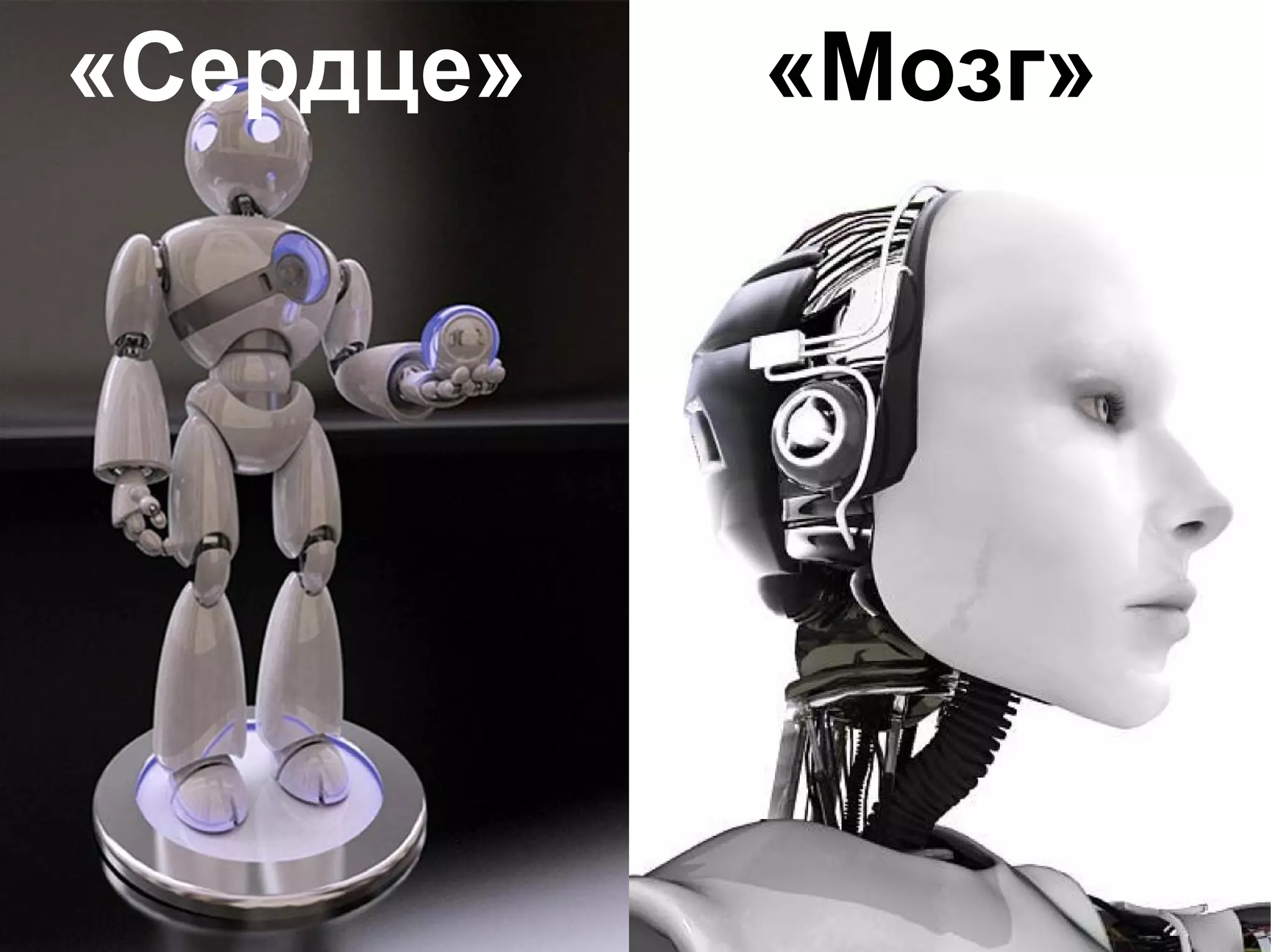 «Сердце»

«Мозг»

 
