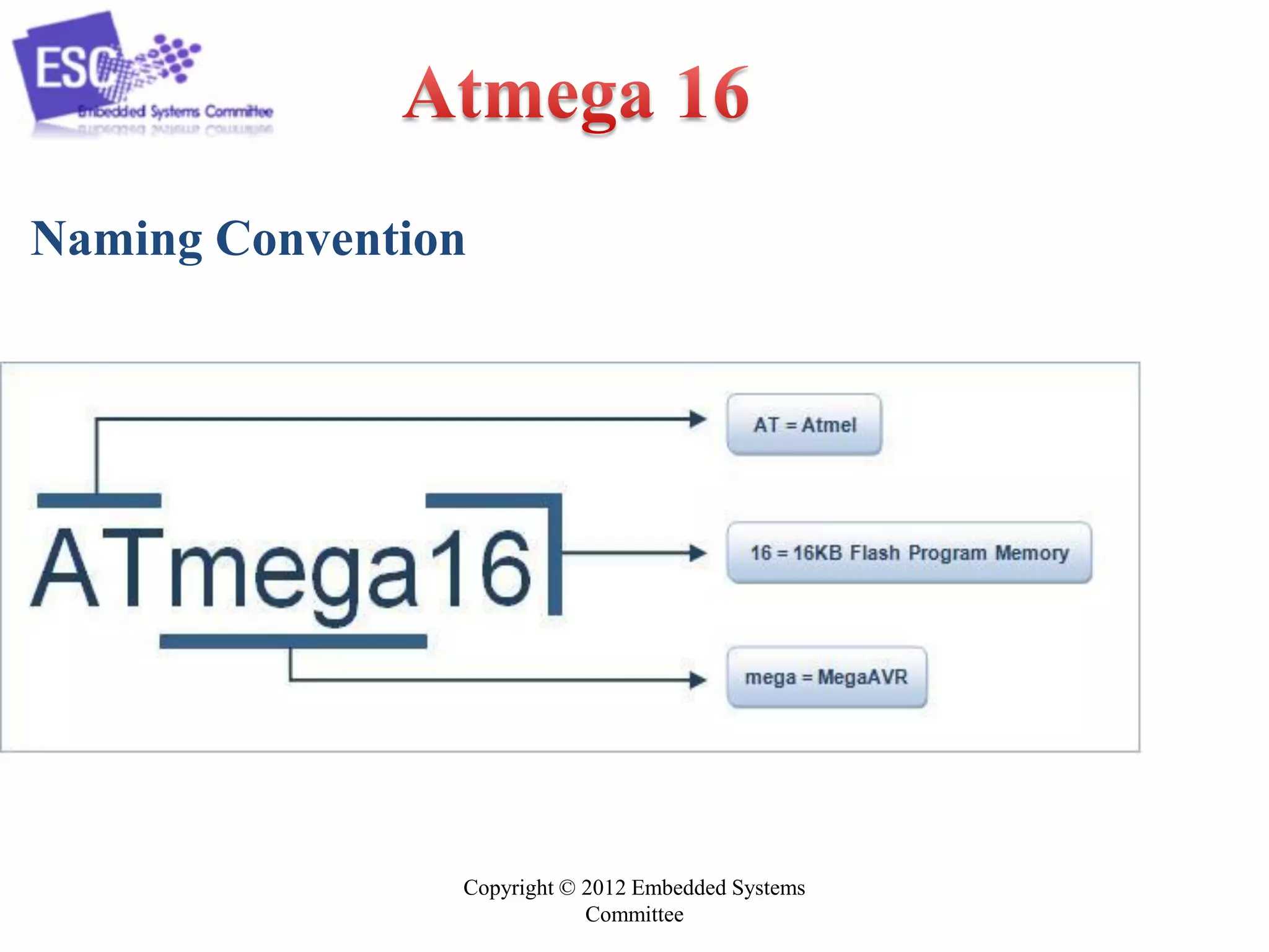 Copyright © 2012 Embedded Systems
Committee
Naming Convention
 