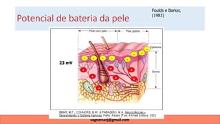 Potencial de bateria da pele
-
Foulds e Barker,
(1983)
+
-
+
+
- -
+
+
- -
+
+
-
-
23 mV
vagnersarj@gmail.com
 