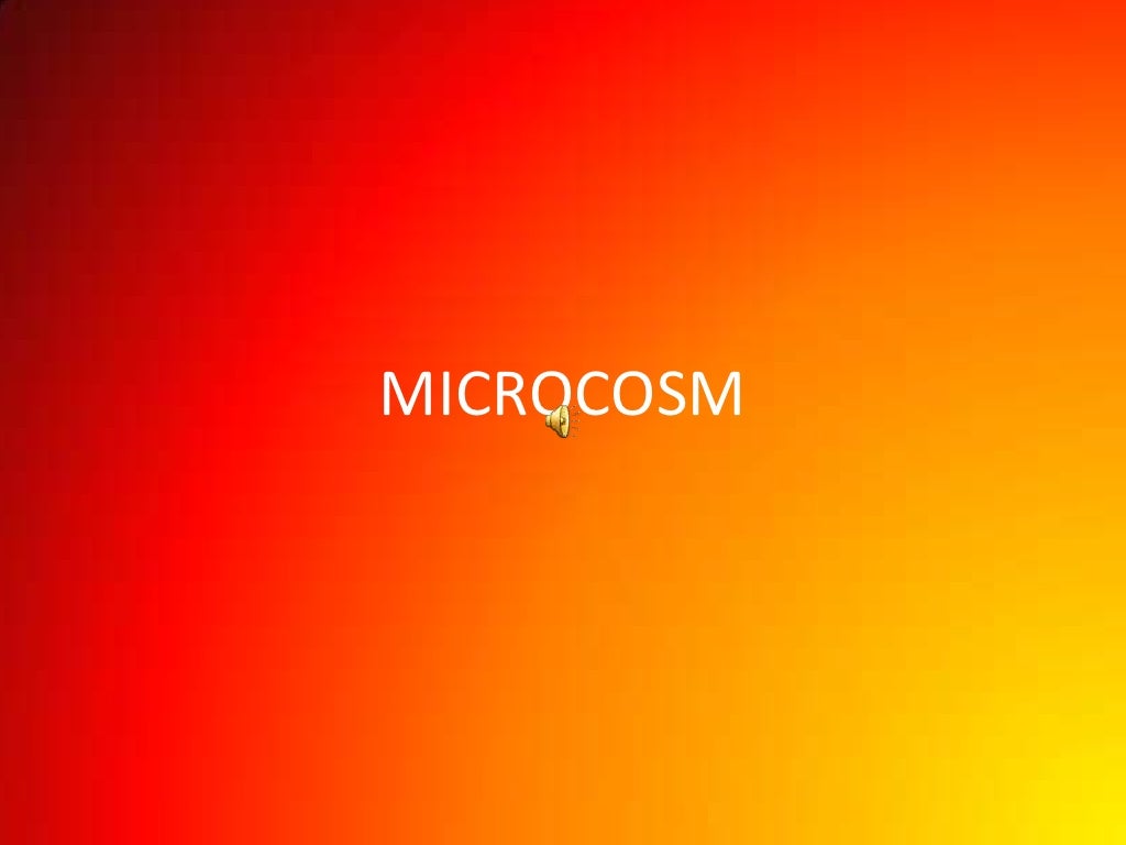 microcosm vs macrocosm
