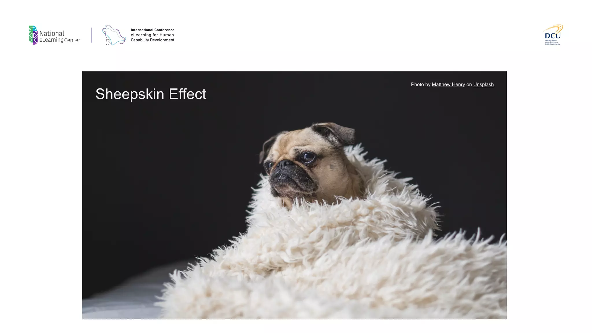 Photo by Matthew Henry on Unsplash
Sheepskin Effect
 